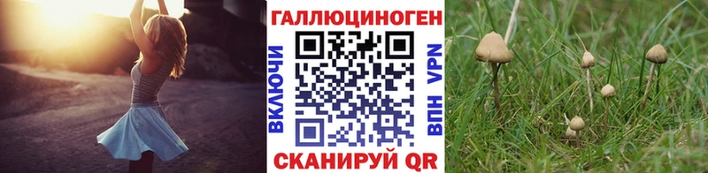 Псилоцибиновые грибы Psilocybe  kraken рабочий сайт  Спасск 